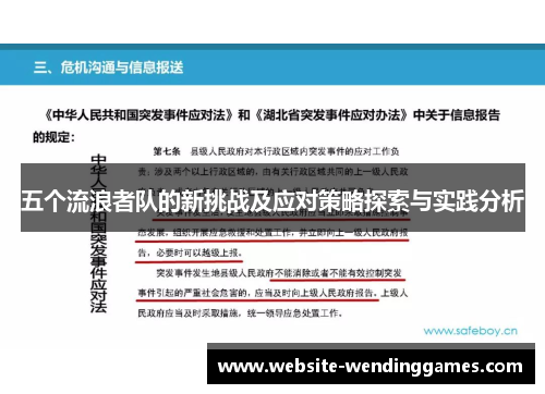 五个流浪者队的新挑战及应对策略探索与实践分析