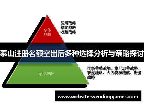 泰山注册名额空出后多种选择分析与策略探讨