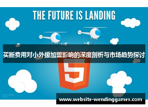 买断费用对小外援加盟影响的深度剖析与市场趋势探讨