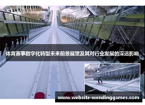 体育赛事数字化转型未来前景展望及其对行业发展的深远影响