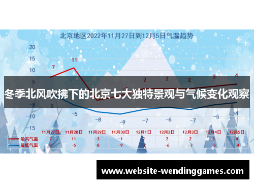 冬季北风吹拂下的北京七大独特景观与气候变化观察
