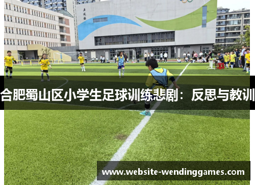 合肥蜀山区小学生足球训练悲剧：反思与教训