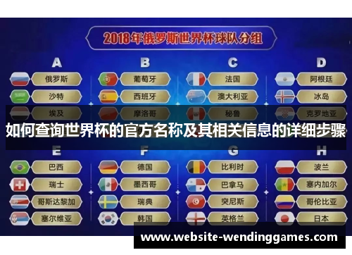 如何查询世界杯的官方名称及其相关信息的详细步骤