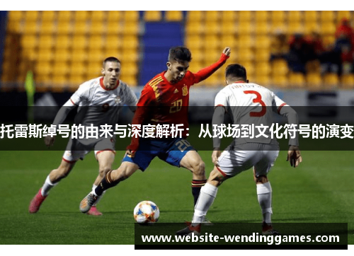 托雷斯绰号的由来与深度解析：从球场到文化符号的演变