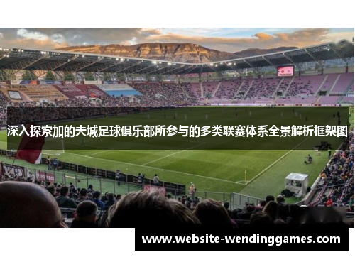 深入探索加的夫城足球俱乐部所参与的多类联赛体系全景解析框架图