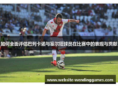 如何全面评估巴列卡诺与塞尔塔球员在比赛中的表现与贡献