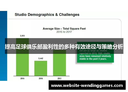 提高足球俱乐部盈利性的多种有效途径与策略分析