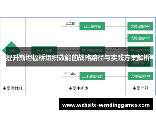 提升斯坦福桥组织效能的战略路径与实践方案解析