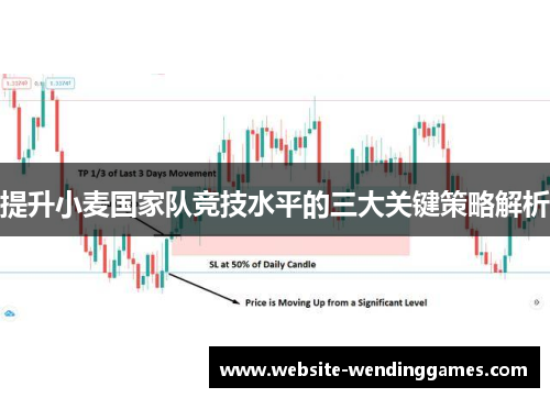 提升小麦国家队竞技水平的三大关键策略解析