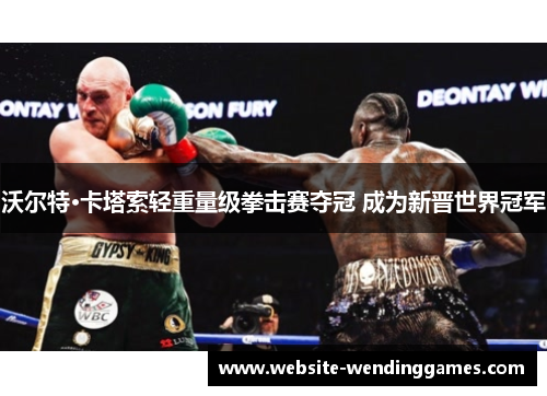 沃尔特·卡塔索轻重量级拳击赛夺冠 成为新晋世界冠军